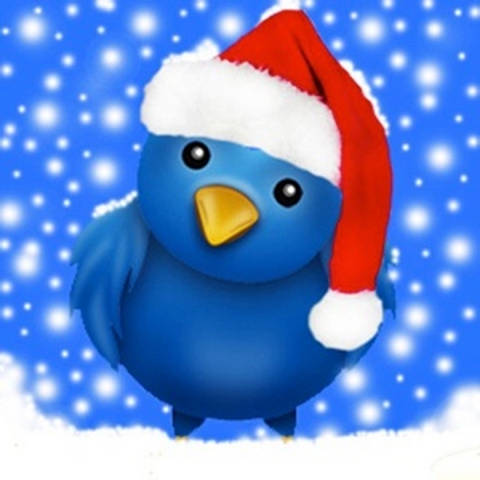 twitter bird