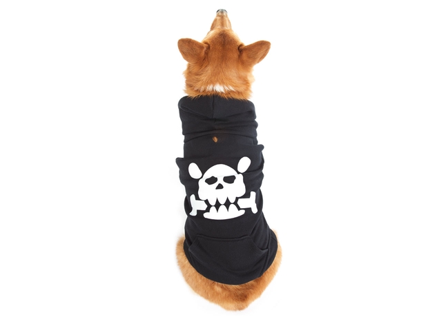 Dog Hoodies warehouse sale