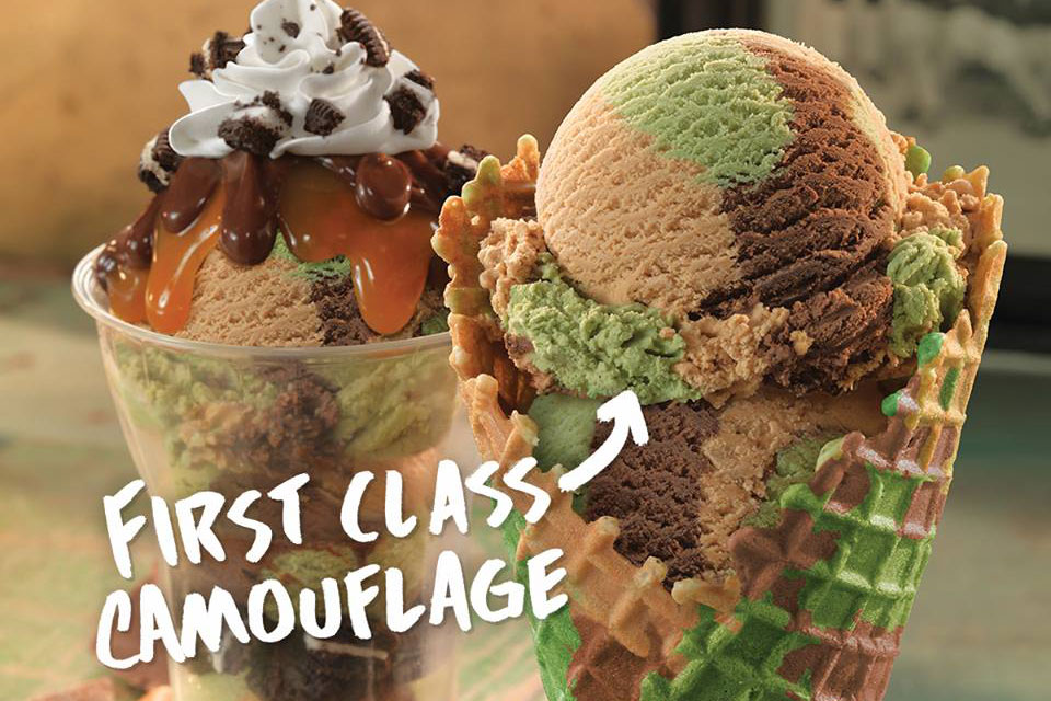 baskin-robbins-first-class-camouflage-ice-cream-1