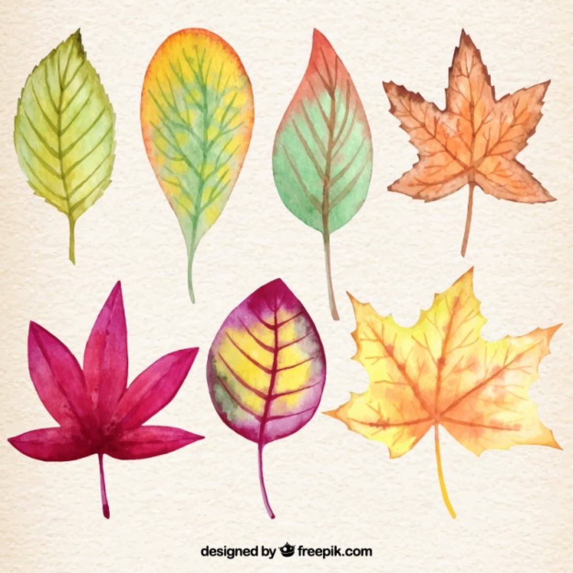 wpid-watercolor-autumnal-leaves_23-2147520416-1170x1170